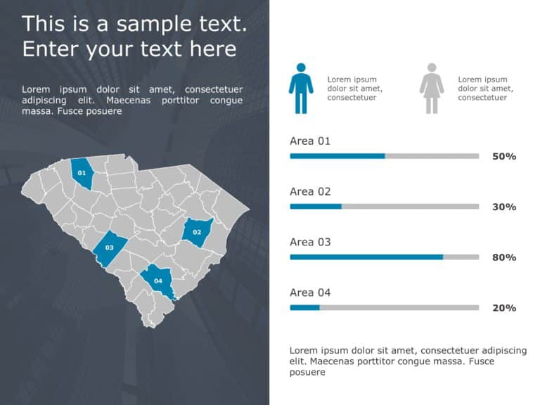 South Carolina Demographic Profile PowerPoint 9 Template