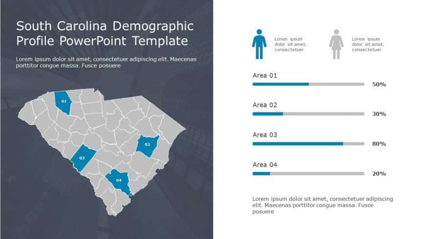 South Carolina Demographic Profile PowerPoint 9 Template