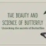 Butterfly PowerPoint And Google Slides Theme Theme