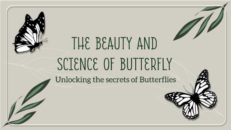 Butterfly PowerPoint And Google Slides Theme