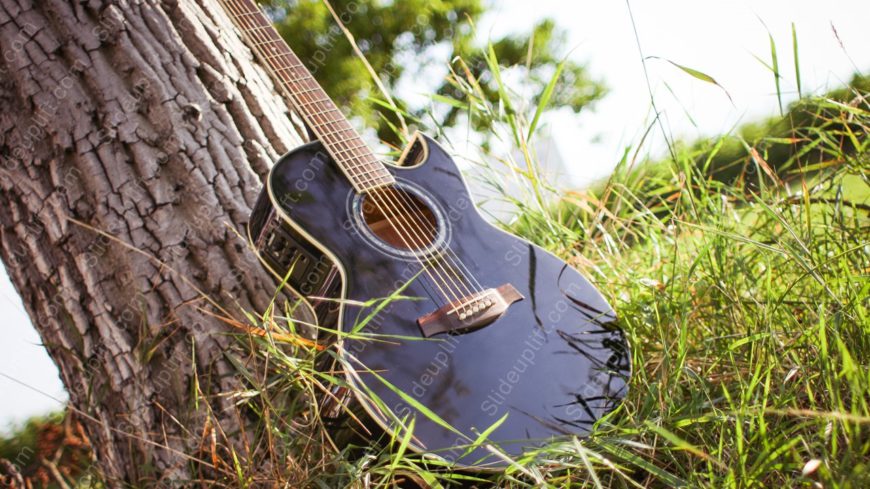 Black Guitar Green Grass background image