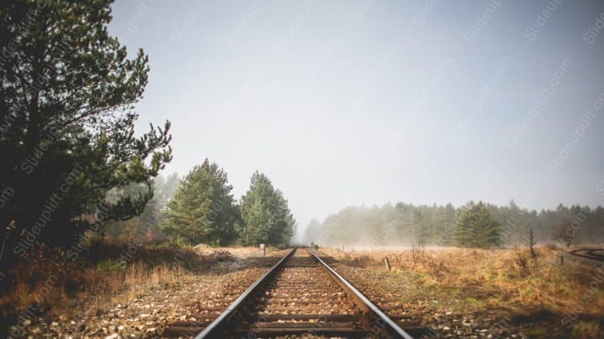 Brown Green Railroad Tracks Forest Mist background image