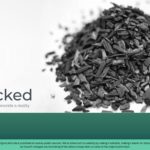 Ecolocked Seed Pitch Deck & Google Slides Theme