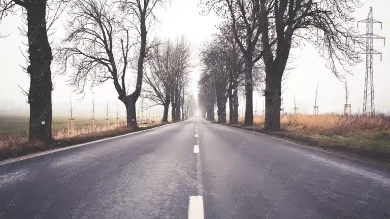 Grey Road Trees Powerlines background image & Google Slides Theme