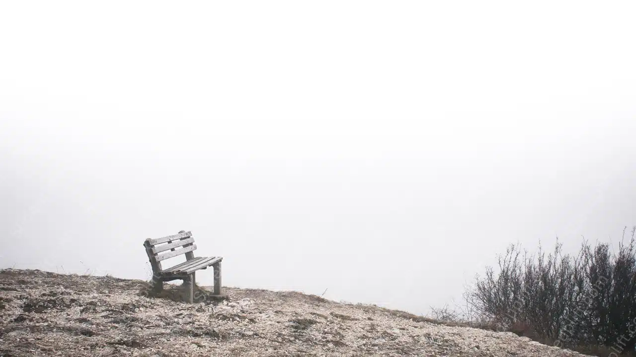 Grey White Bench Misty background image & Google Slides Theme