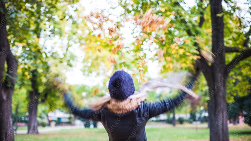 Navy Blue Hat Person Autumn Leaves background image