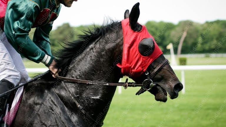 Red Green Jockey Horse Racetrack background image & Google Slides Theme