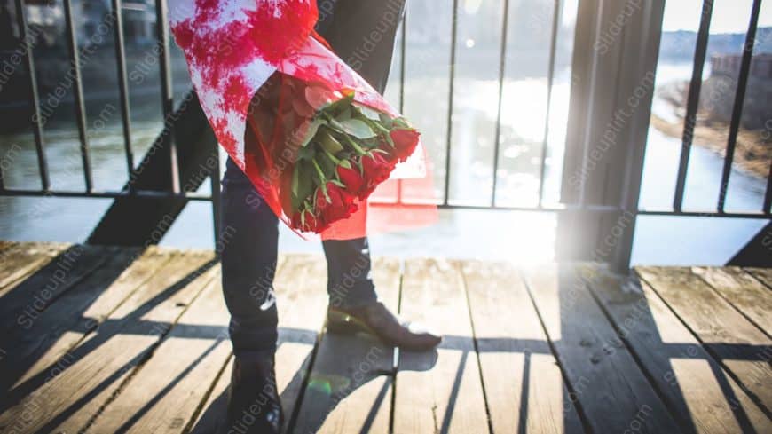 Red Green Roses Person Wooden Deck background image