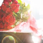 Red Roses Bright background image & Google Slides Theme