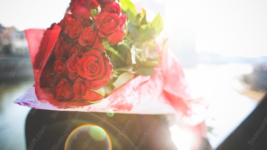 Red Roses Bright background image