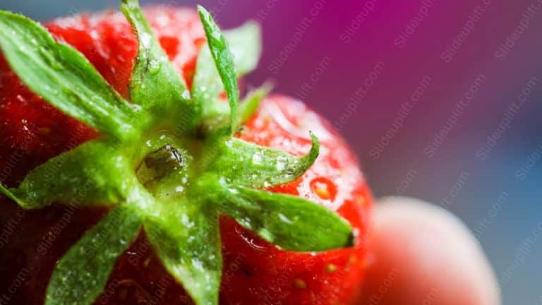 Red Strawberry Green Leaf Purple Gradient background image & Google Slides Theme