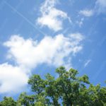 Sky Blue White Clouds Green Treetop background image & Google Slides Theme