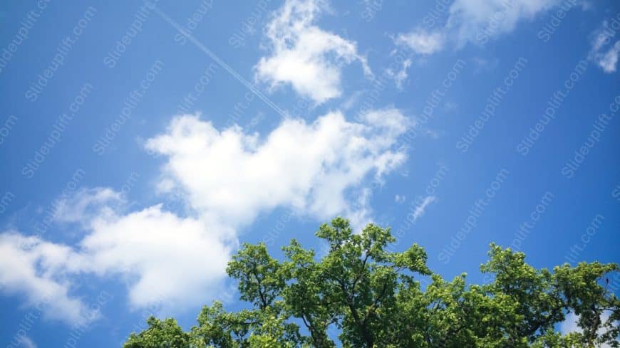 Sky Blue White Clouds Green Treetop background image