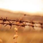 Warm Brown Barbed Wire Blurry Nature background image & Google Slides Theme