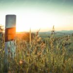 Warm Orange Glow Pole Green Grass Sunset background image & Google Slides Theme