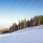 White Snow Pine Trees Clear Sky background image & Google Slides Theme