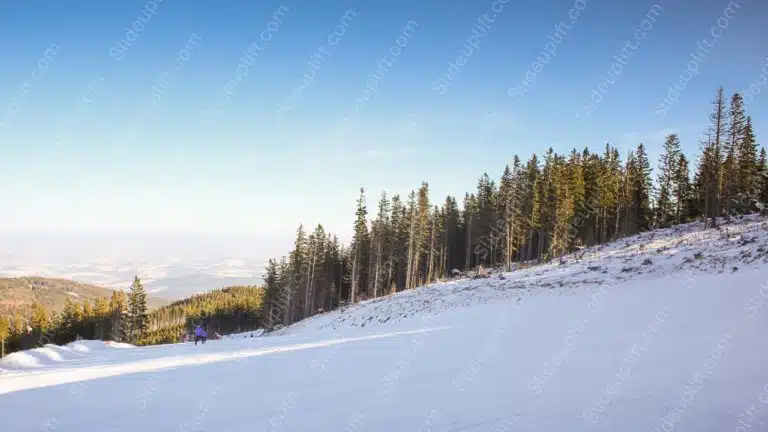 White Snow Pine Trees Clear Sky background image & Google Slides Theme