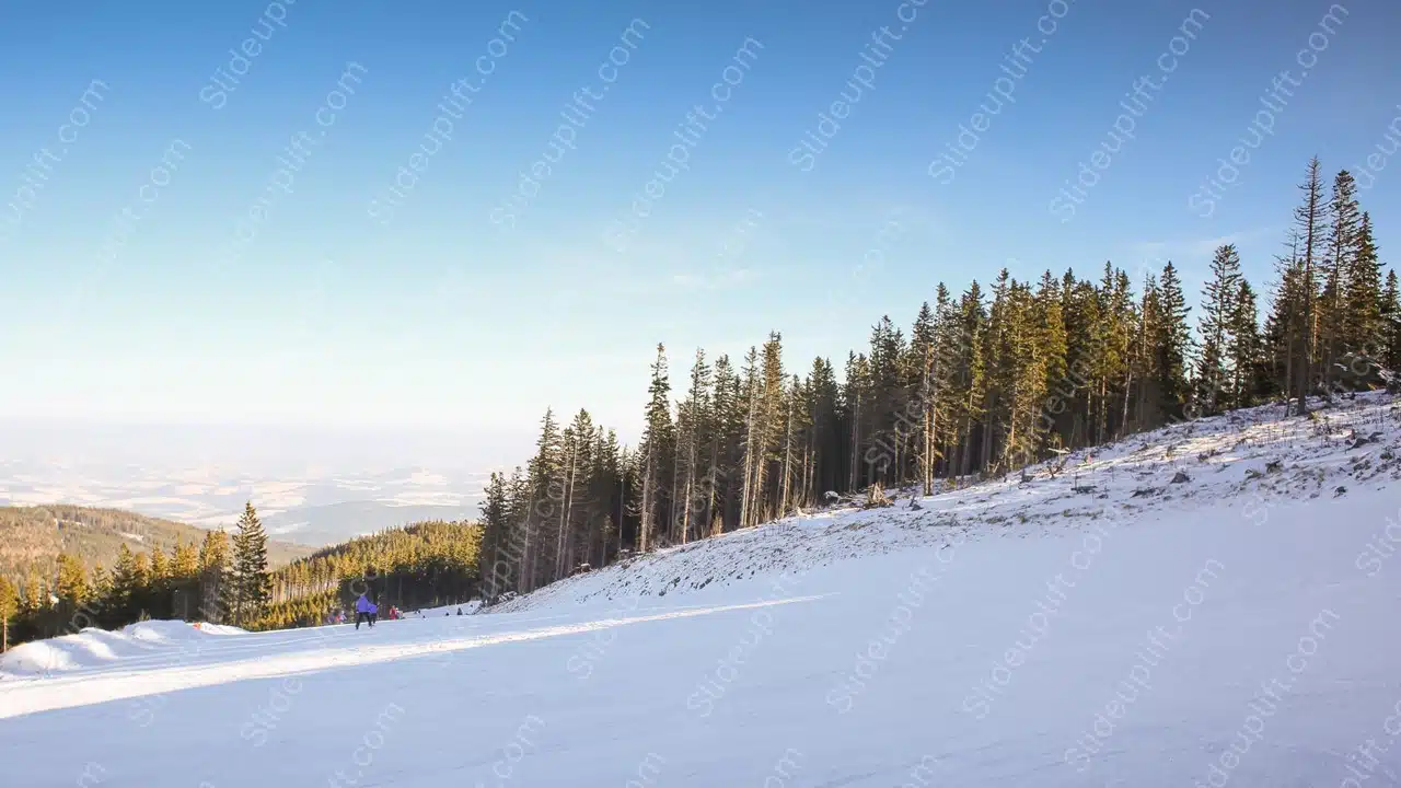 White Snow Pine Trees Clear Sky background image & Google Slides Theme