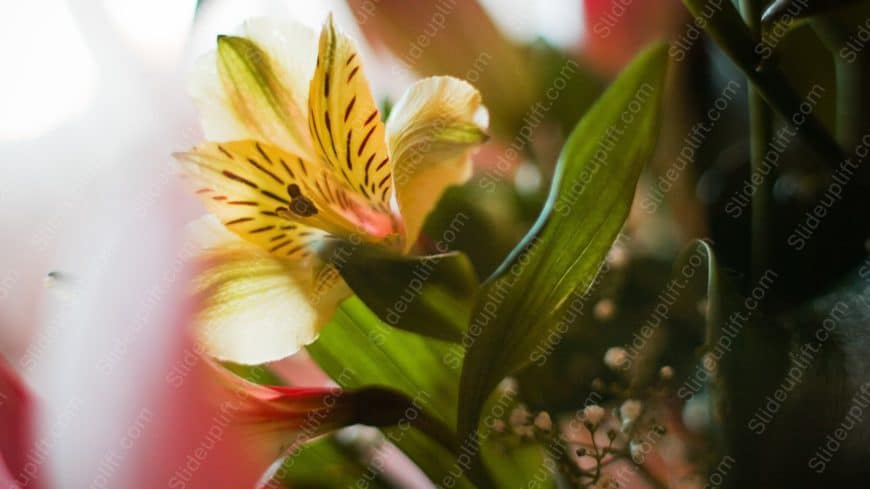 Yellow Green Flower Leaves background image
