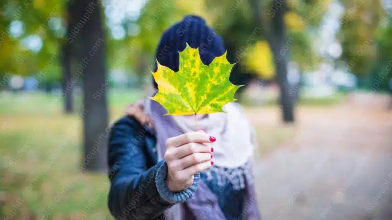 Yellow Green Maple Leaf Person Holding Fall Scene background image & Google Slides Theme