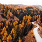 Autumn Amber Forest Curve Road background image & Google Slides Theme