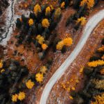 Autumn Yellow Trees and Curving Road background image & Google Slides Theme