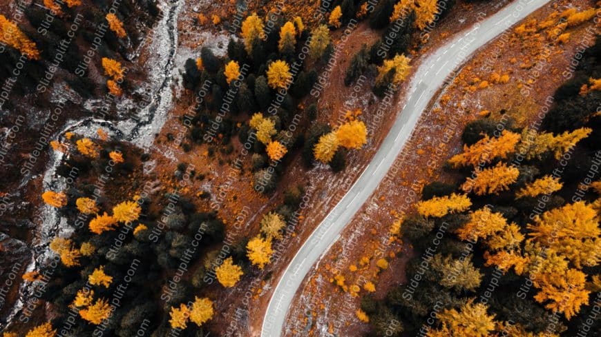 Autumn Yellow Trees and Curving Road background image