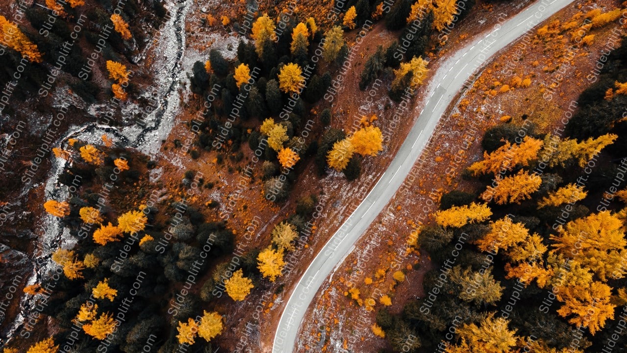 Autumn Yellow Trees and Curving Road background image & Google Slides Theme