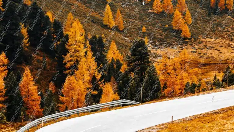 Autumn orange trees and road background image & Google Slides Theme