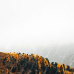 Autumn yellow trees misty mountains background image. & Google Slides Theme