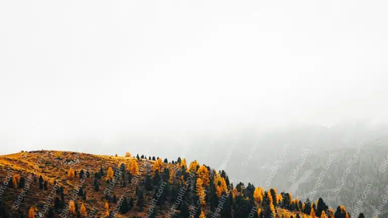 Autumn yellow trees misty mountains background image. & Google Slides Theme