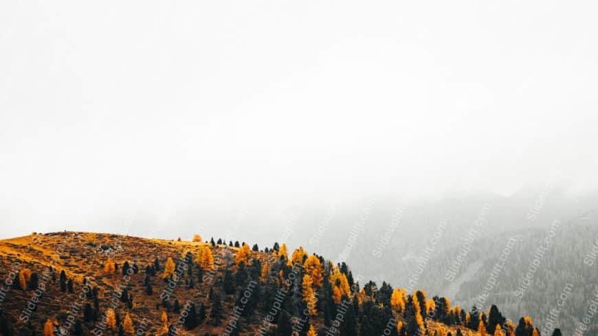 Autumn yellow trees misty mountains background image.