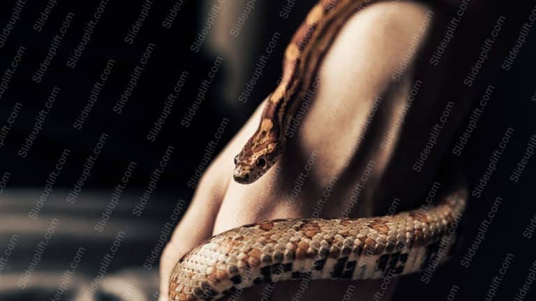 Brown Snake Dark background image & Google Slides Theme