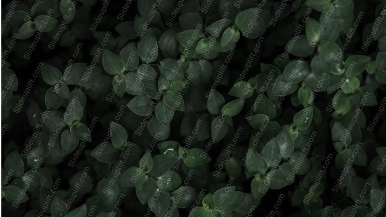 Dark Green Leaves background image & Google Slides Theme