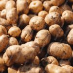 Golden brown potatoes background image & Google Slides Theme