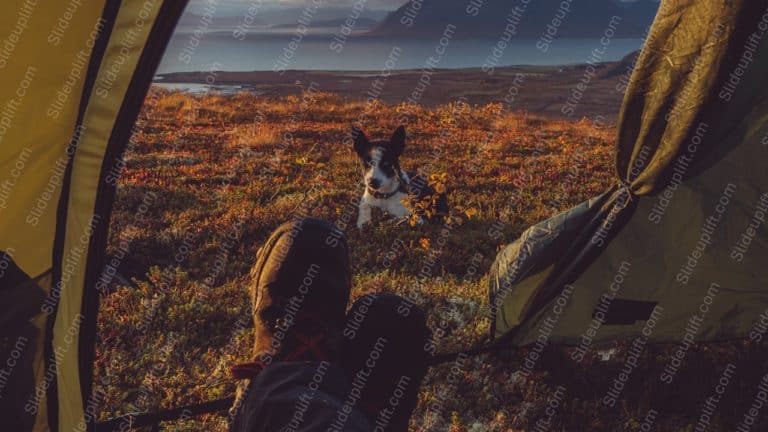 Golden yellow tent dog mountain lake background image & Google Slides Theme