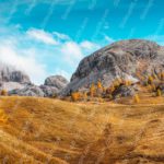 Golden yellow trees and grass grey mountains blue sky background image & Google Slides Theme