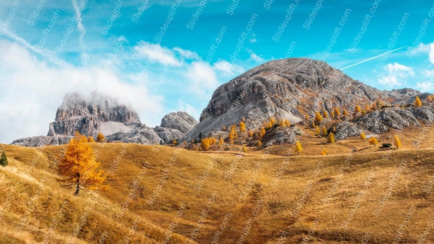 Golden yellow trees and grass grey mountains blue sky background image