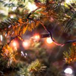 Green Pine Branches Orange Warm Lights background image & Google Slides Theme