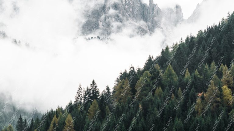 Green Yellow Pine Trees Mountain Fog background image & Google Slides Theme