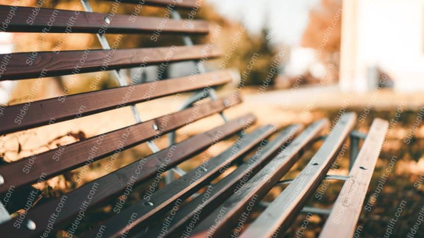 Mahogany Golden Bench Nature background image