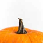 Orange Pumpkin White background image & Google Slides Theme