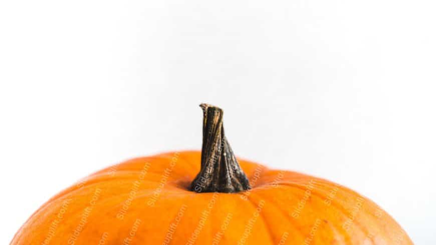 Orange Pumpkin White background image