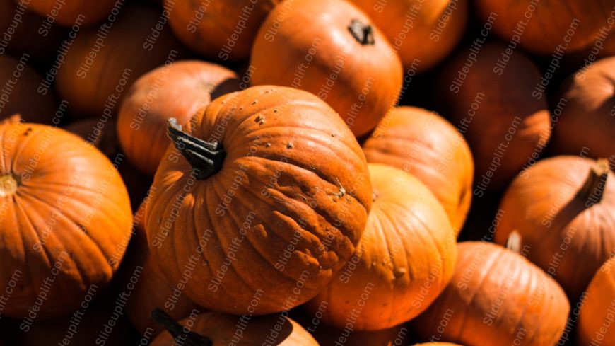 Orange Pumpkins background image