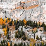 Orange Yellow Trees Gray Mountain background image & Google Slides Theme