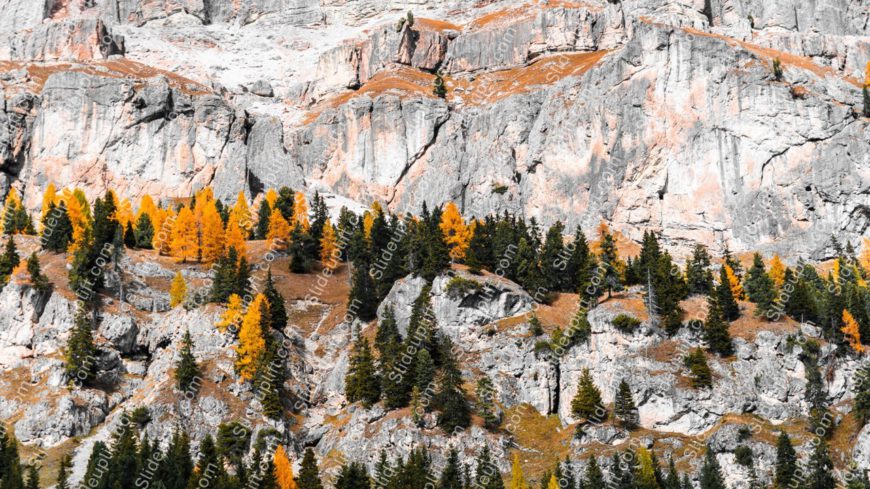 Orange Yellow Trees Gray Mountain background image