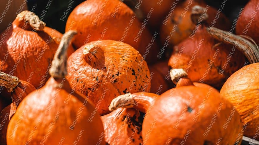 Orange pumpkins background image(1)