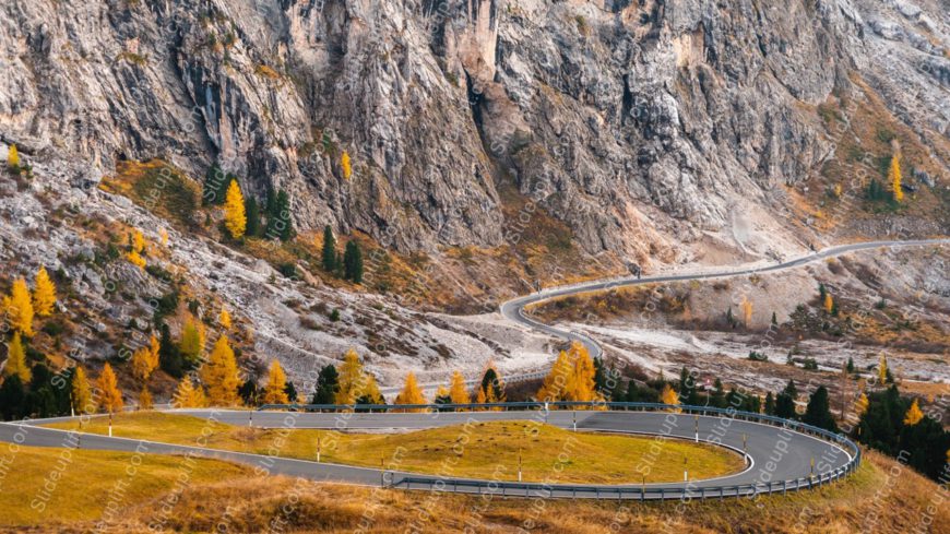 Orange yellow trees grey mountain road background image