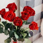 Red Roses White and Gray Checked background image & Google Slides Theme