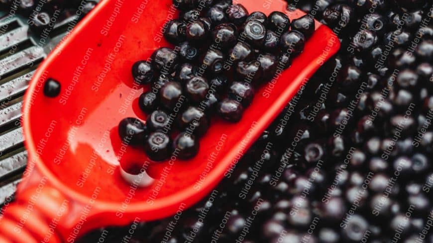 Red Scoop Dark Berries background image